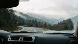 Winding Newfound Gap Road connecting Clingmans Dome to Gatlinburg through misty Smoky Mountains