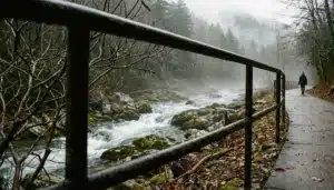 Misty mountain stream beside a walkway, one of the fishing spots near Gatlinburg, TN, framed through railing and branches