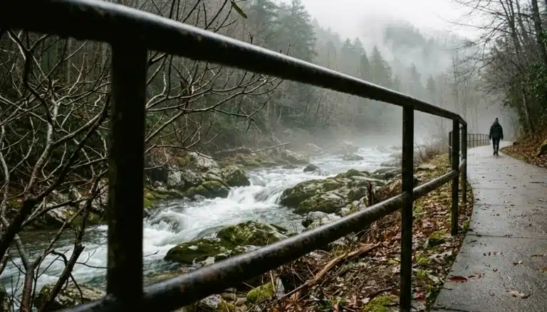 Misty mountain stream beside a walkway, one of the fishing spots near Gatlinburg, TN, framed through railing and branches