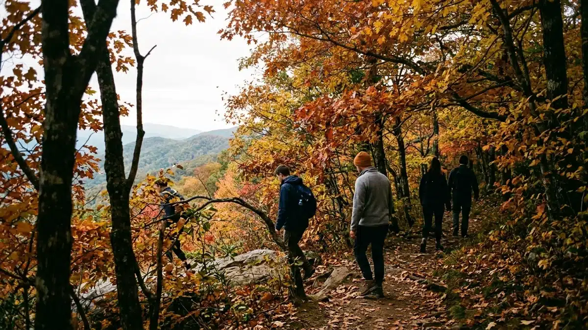 Fall color on a Smokies trail when you plan a trip to Gatlinburg